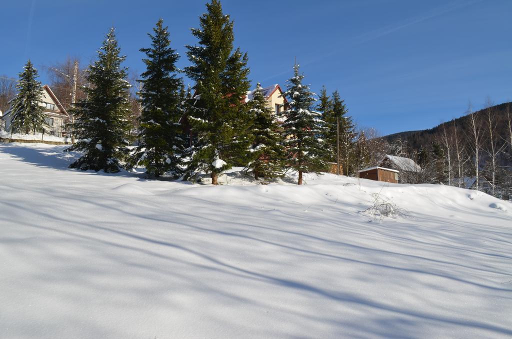 Villa Dom Na Mosornym Groniu à Zawoja Extérieur photo